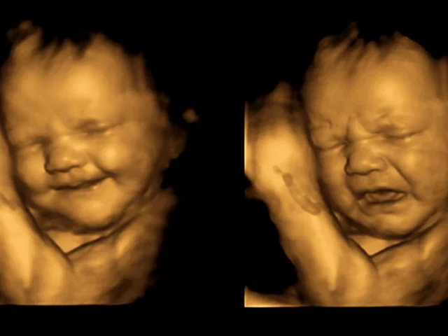 Can babies cry and laugh in the womb?