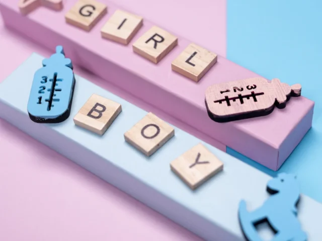 Chinese Baby Calendar and Gender Predictor